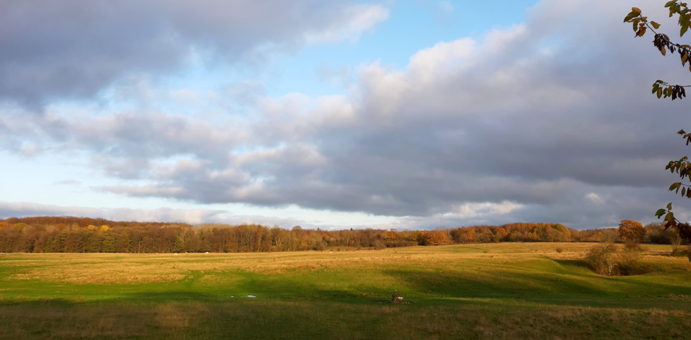 Blick över Dalby ängar från Dalby Söderskog
