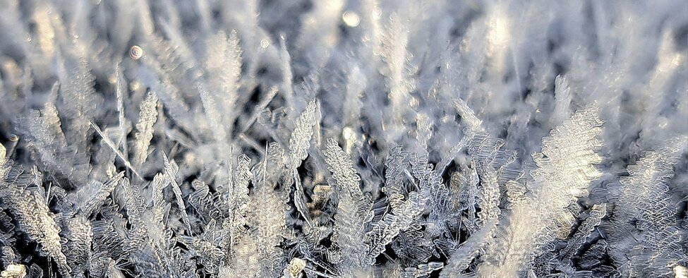Detaljbild på iskristaller. Foto: Anja Hoppe.