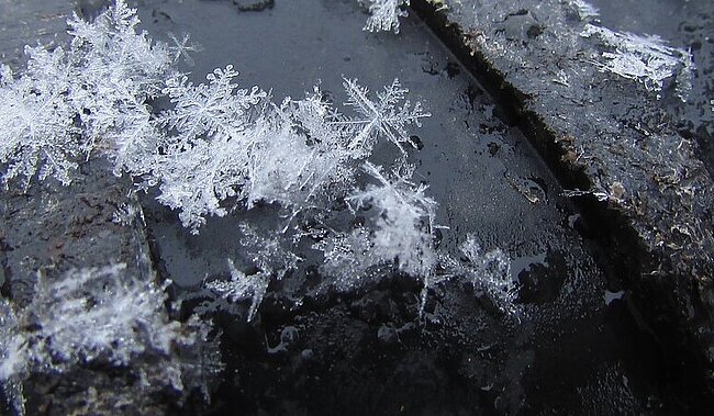 snöflingor