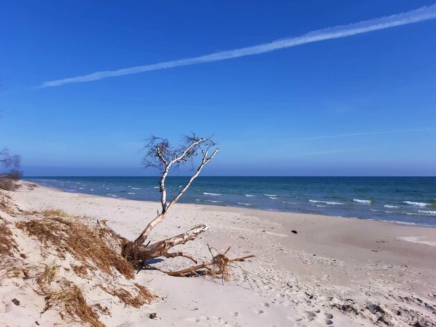 Baltic Sea at Hagestad